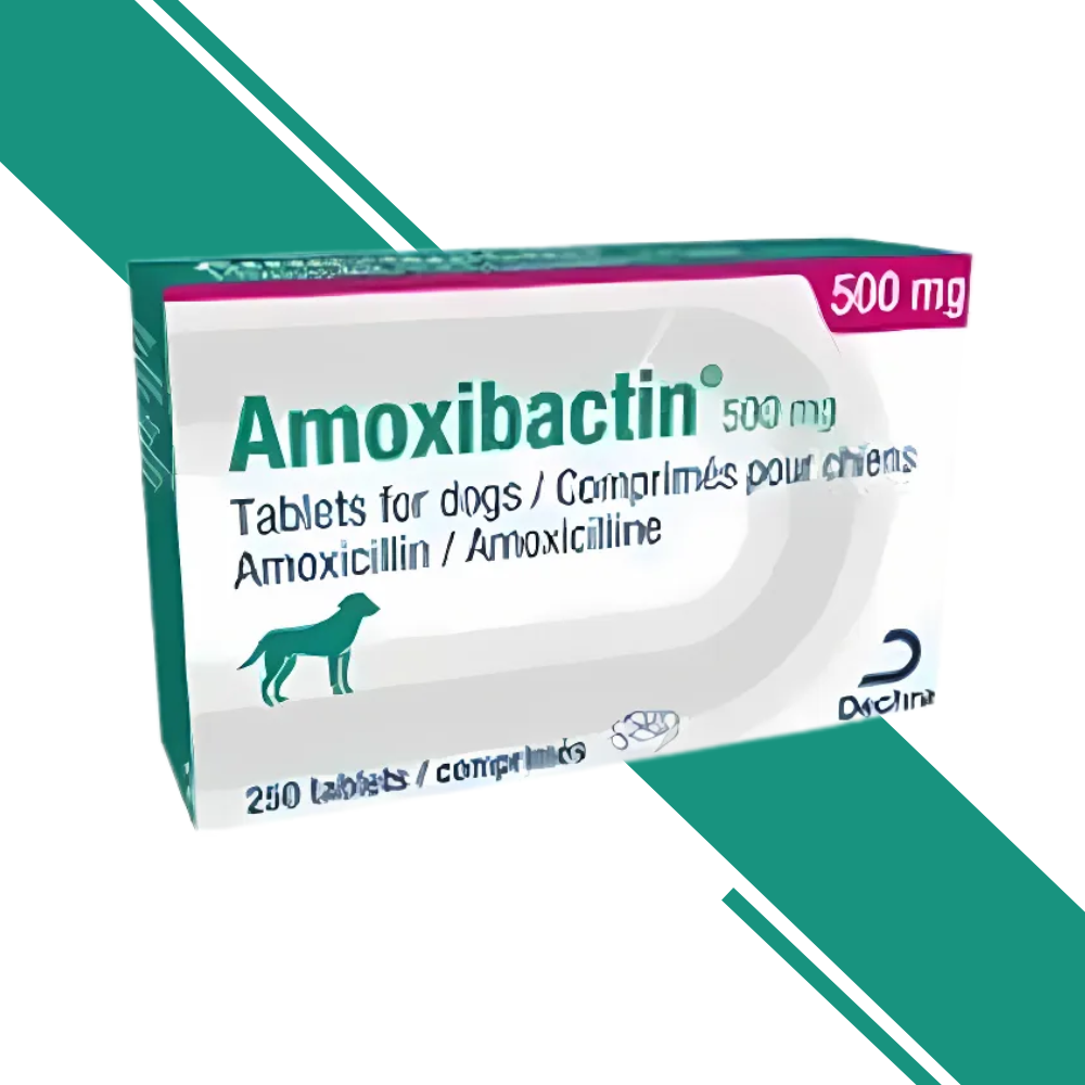 Amoxibactin Antibiotic Tablets